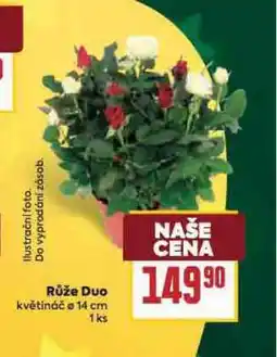 Billa Růže duo nabídka