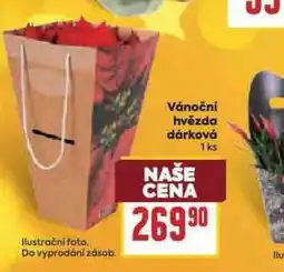 Billa Vánoční hvězda dárková nabídka