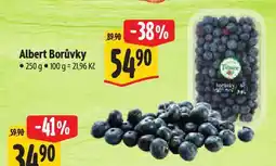 Albert Borůvky nabídka