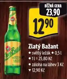 Albert Pivo zlatý bažant nabídka