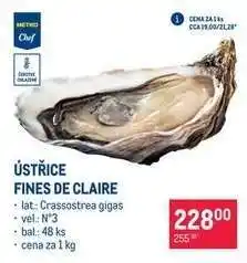 Makro ÚSTŘICE FINES DE CLAIRE nabídka