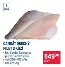 Makro Candát obecný filet s kůží nabídka