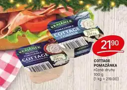 Flop COTTAGE POMAZÁNKA různé druhy 100 g nabídka