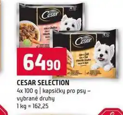 Terno CESAR SELECTION Cesar 4x 100 g kapsičky pro psy vybrané druhy nabídka