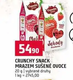 Terno CRUNCHY SNACK MRAZEM SUŠENÉ OVOCE 20 g vybrané druhy nabídka