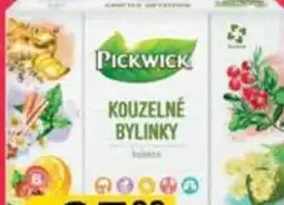 Jip Pickwick čaj nabídka