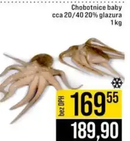 Jip Chobotnice baby cca 20/40 20% glazura nabídka