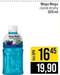 Jip Mogu Mogu nabídka