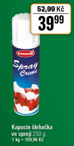 TEMPO Kapucin šlehačka ve spreji nabídka