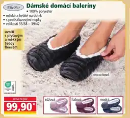 Norma Dámské domácí baleríny nabídka