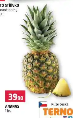 Terno Ananas nabídka