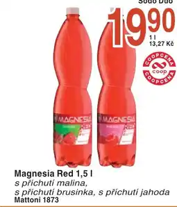 Coop hb Magnesia Red nabídka