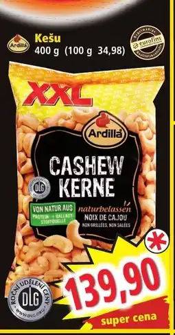 Norma Ardilla Kešu nabídka