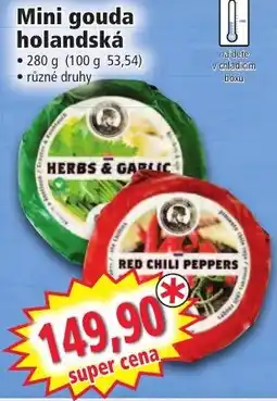 Norma Mini gouda holandská nabídka