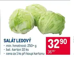 Makro Salát ledový nabídka