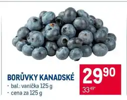Makro Borůvky kanadské nabídka