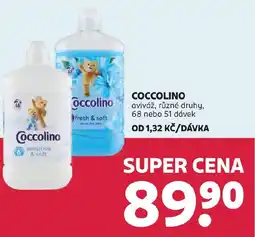 Rossmann COCCOLINO aviváž nabídka