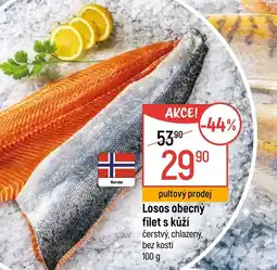 Globus Losos obecný filet s kůží nabídka