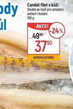 Globus Candát filet s kůží nabídka