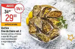 Globus Ústřice Fine de Claire vel. 2 nabídka