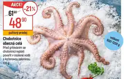 Globus Chobotnice obecná celá nabídka