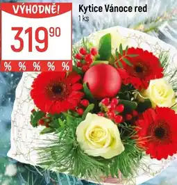 Globus Kytice Vánoce red nabídka