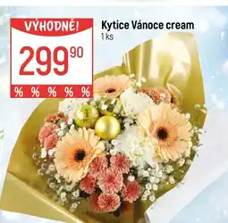 Globus Kytice Vánoce cream nabídka