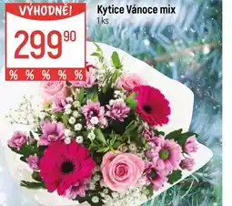 Globus Kytice Vánoce mix nabídka