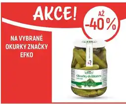 Globus Na vybrané okurky značky efko nabídka