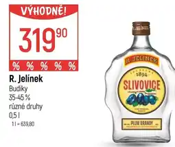 Globus R. Jelínek Budíky nabídka