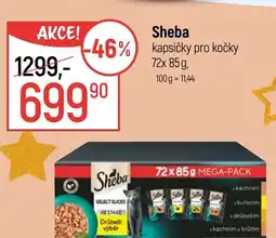 Globus Sheba kapsičky pro kočky nabídka