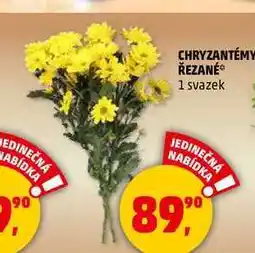 Penny Market CHRYZANTÉMY ŘEZANÉ, 1 svazek nabídka