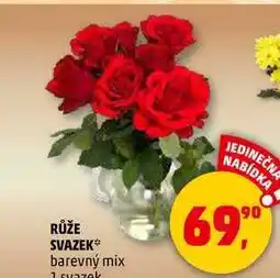 Penny Market RŮŽE SVAZEK, 1 svazek nabídka