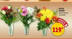 Penny Market KYTICE PESTRÁ, 1 svazek nabídka