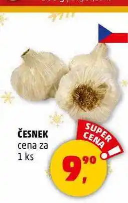Penny Market ČESNEK, 1 ks nabídka