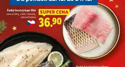 Lidl Čerstvý kapr filet nabídka