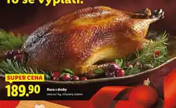 Lidl Husa s droby nabídka
