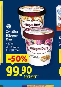 Lidl Häagen dazs zmrzlina nabídka