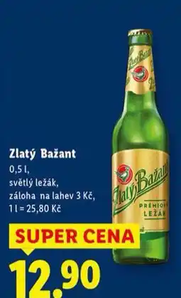Lidl Pivo zlatý bažant nabídka