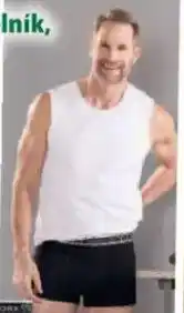 Norma Pánský nátělník, nabídka