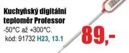 EVA Kuchyňský digitální teploměr Professor nabídka
