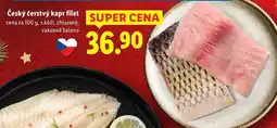 Lidl Český čerstvý kapr filet, cena za 100 g nabídka