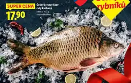 Lidl Český čerstvý kapr celý kuchaný, cena za 100 g nabídka