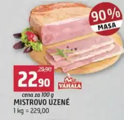 Terno Mistrovo úzené nabídka