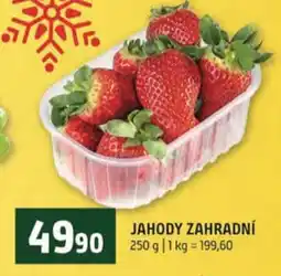 Terno Jahody zahradní nabídka