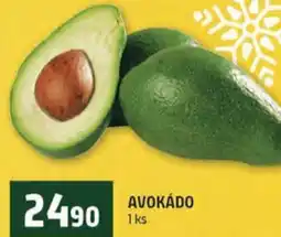 Terno Avokádo nabídka