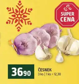 Terno Česnek nabídka