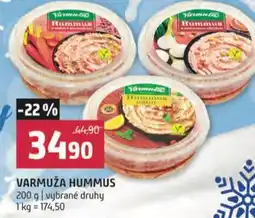 Terno Varmuža hummus nabídka
