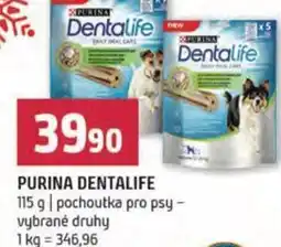 Terno Purina dentalife nabídka