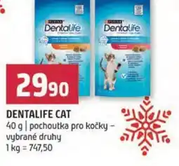 Terno Dentalife cat nabídka